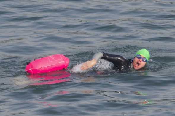 07 November 2020 - 11-55-07
One very serious swimmer, crossing from Bayards Cove to Kingswear.
--------------------------
Wild water swimming, river Dart, Dartmouth